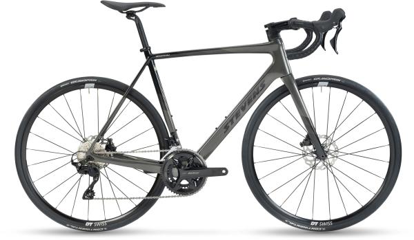 Stevens Izoard - Golden Grey - 60 cm